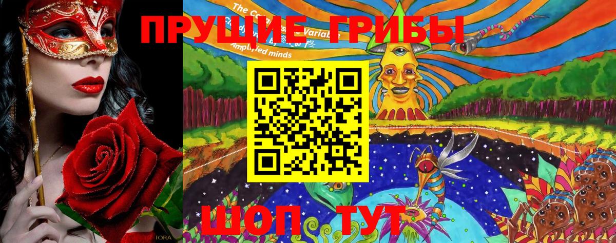 Псилоцибиновые грибы мицелий Шебекино