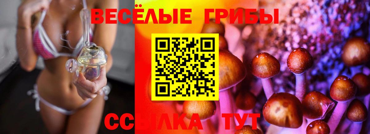 хочу наркоту  Вход с VPN  Шебекино  Псилоцибиновые грибы прущие грибы 